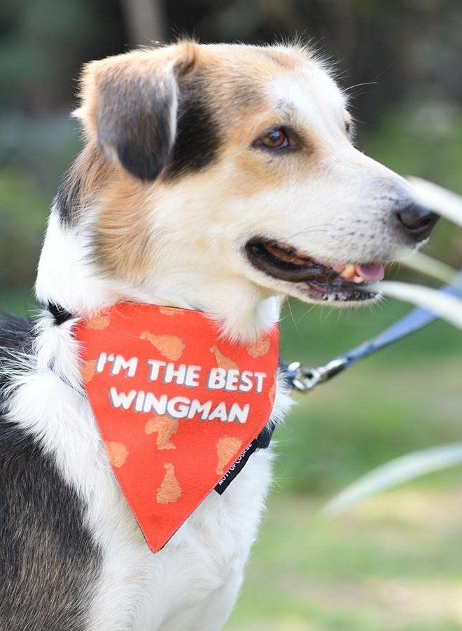 Mutt of Course أفضل منديل للكلاب من Mutt of Course - Image 2